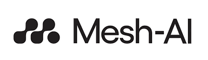 Case Study Mesh AI ISMS online